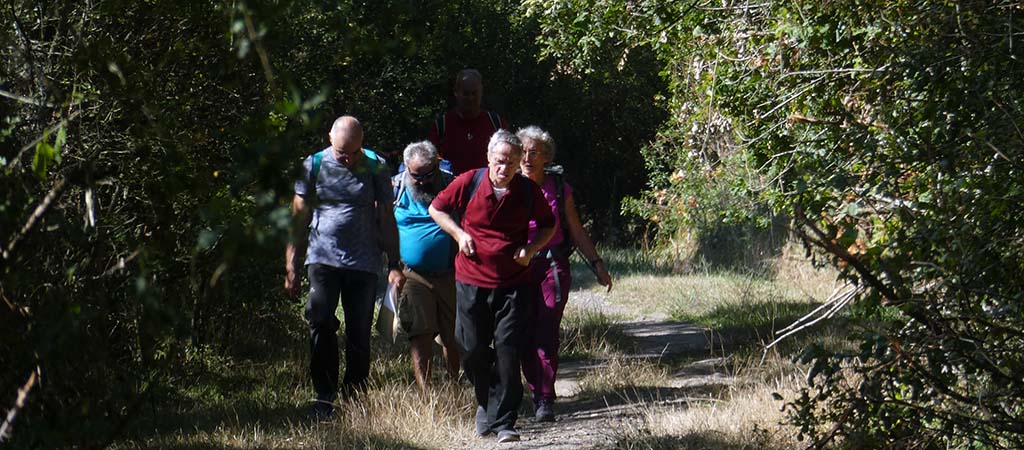 Nos aînés en randonnée sur le chemin de St-Jacques de Compostelle ont réalisé leur rêve. © Pension Anne-Marie Blaise