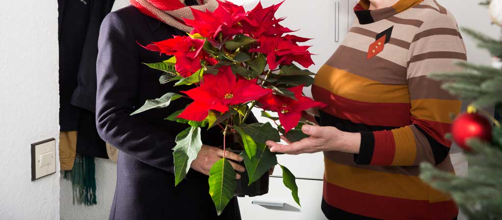 Osez sonner à la porte de vos voisins âgés pour offrir un présent. © Iakov Filimonov/ Shutterstock.com